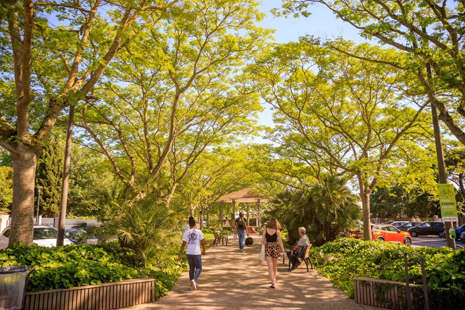 debarras maison ouest Toulousain